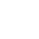 fame Icon